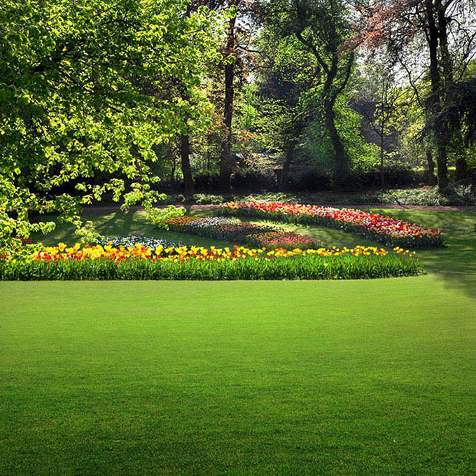 Garden Landscaping